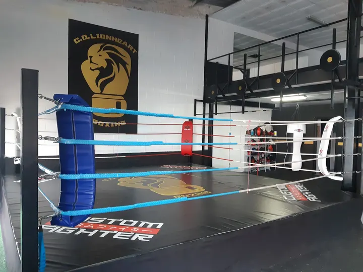 C.D Lionheart Boxing — Artes marciales en Huelva
