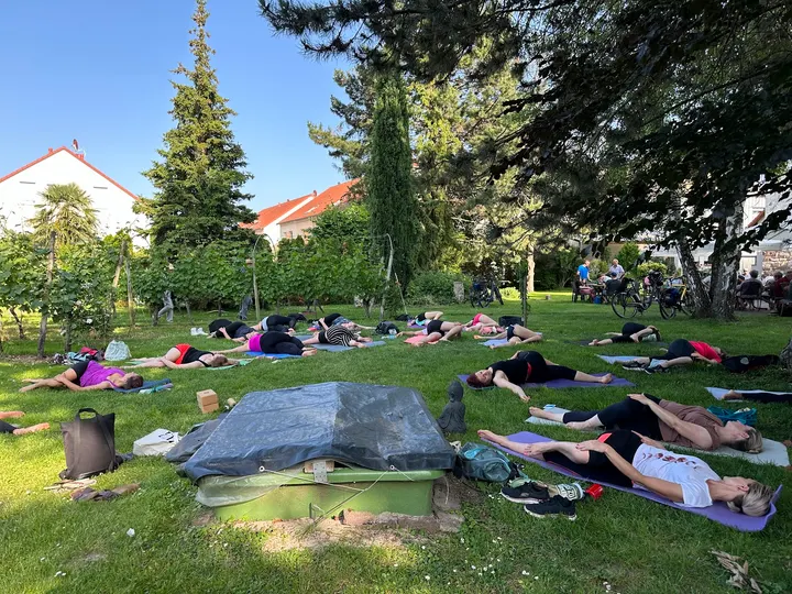 Yoga mit Sarah Eichenauer — yoga-studio in Nackenheim — 3