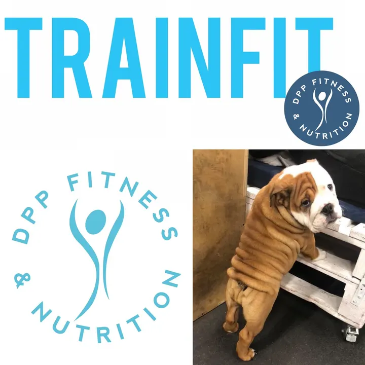 DPP Fitness and Nutrition — fitness studio in Hartlepool — 4