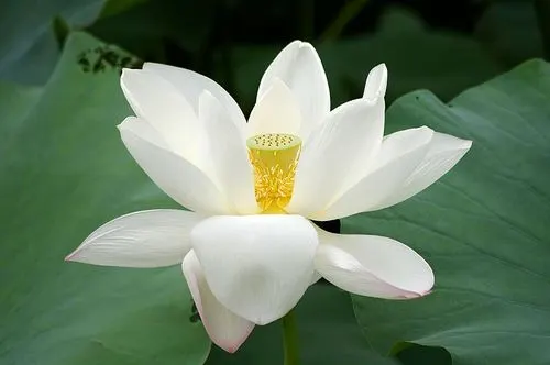 Yogaschule Prana - Yoga — yoga-studio in Stuttgart — 2