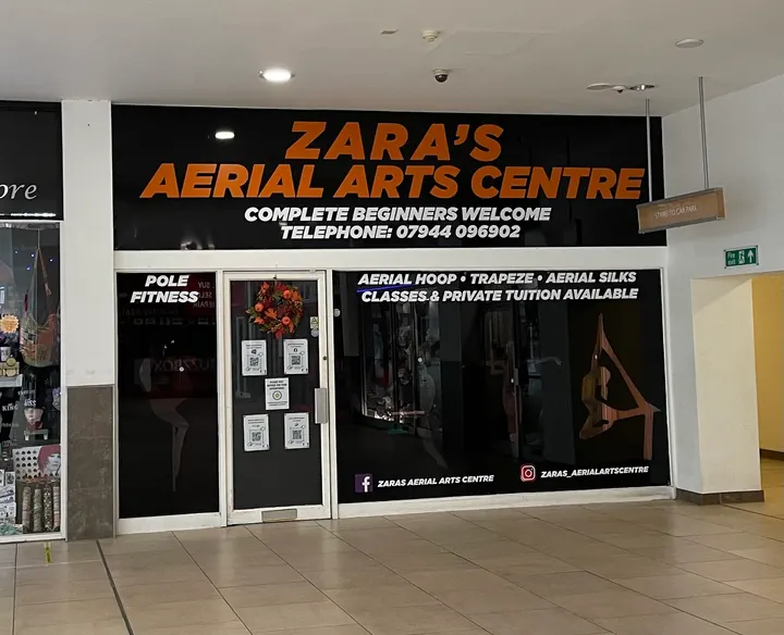 Zara's Aerial Hoop & Pole Fitness — aerial-studio in Southend-On-Sea — 4