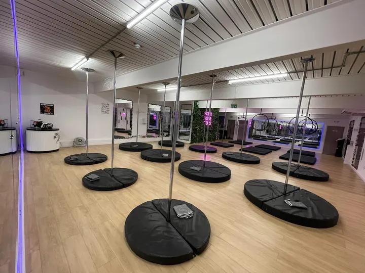 Zara's Aerial Hoop & Pole Fitness — aerial-studio in Southend-On-Sea — 5