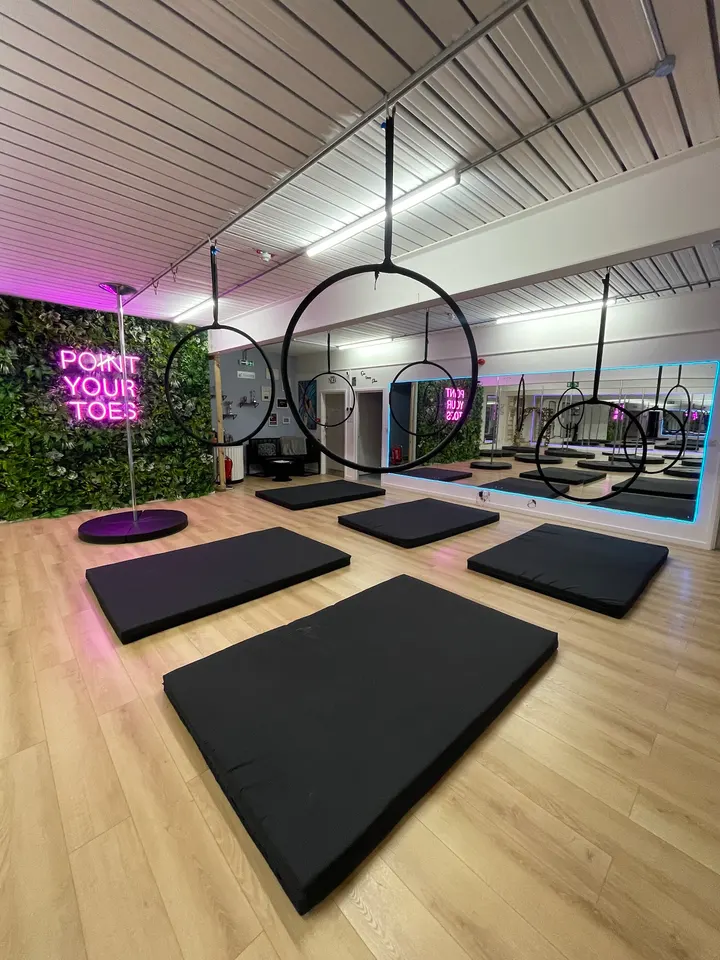Zara's Aerial Hoop & Pole Fitness — Fitness Studio in Southend-On-Sea