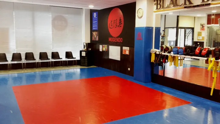 EUROPEA PROFESIONAL KARATE ASOCIACION — Artes marciales en Indautxu, Bilbao