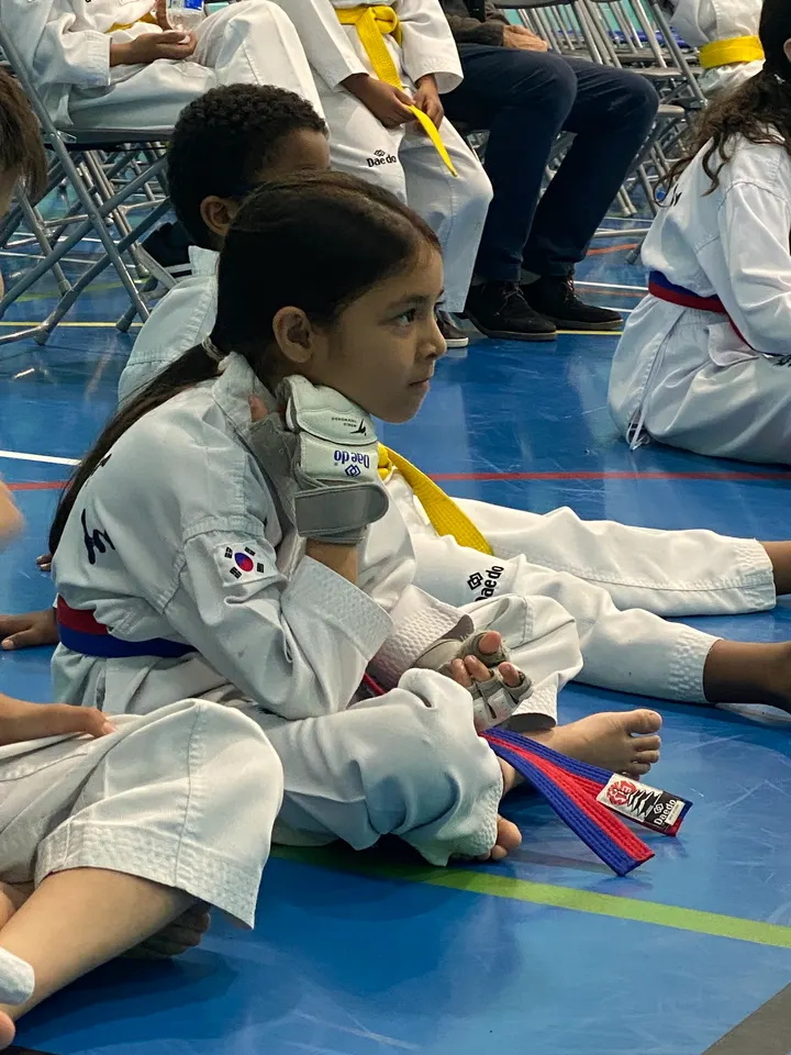 London Taekwondo Titans — martial arts-studio in Park Royal, London — 2