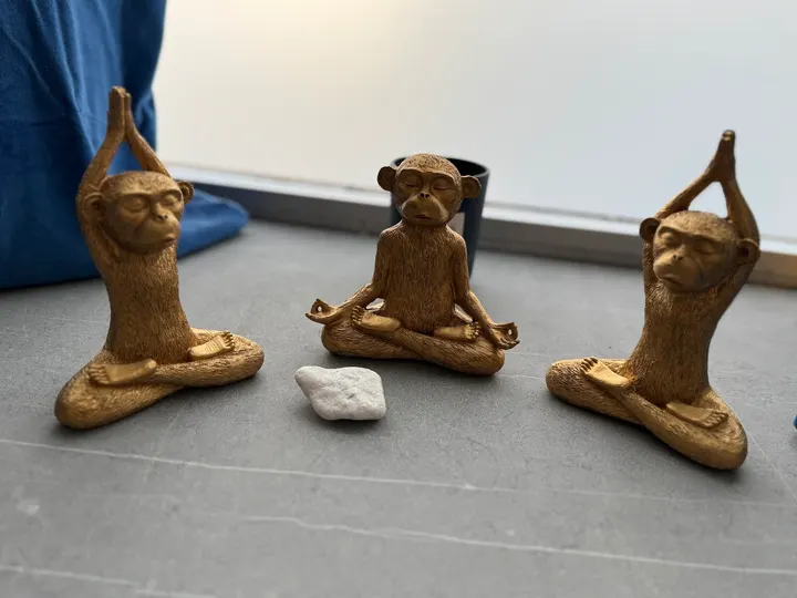 FlowBalanceYoga Katrin Steinmeier — yoga-studio in Rösrath, Köln — 2