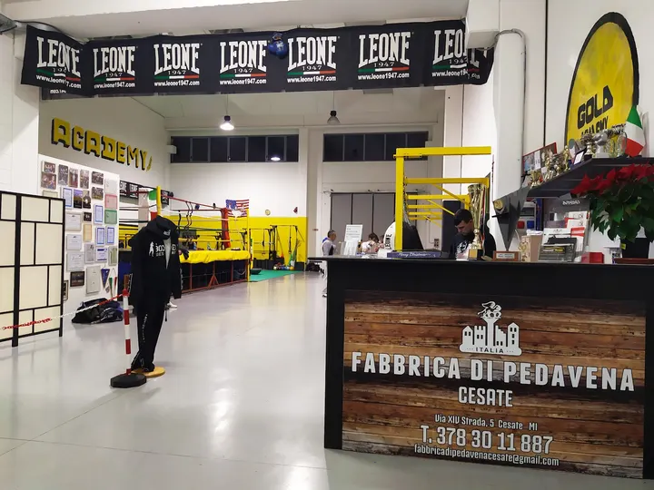 Gold Academy — boxe-studio a Resegone-San Primo, Cesate — 2