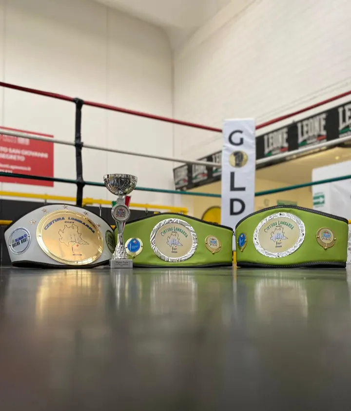 Gold Academy — boxe-studio a Cesate — 4