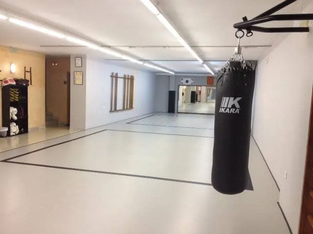 Do San Lee — artes marciales-studio en Lleida — 3