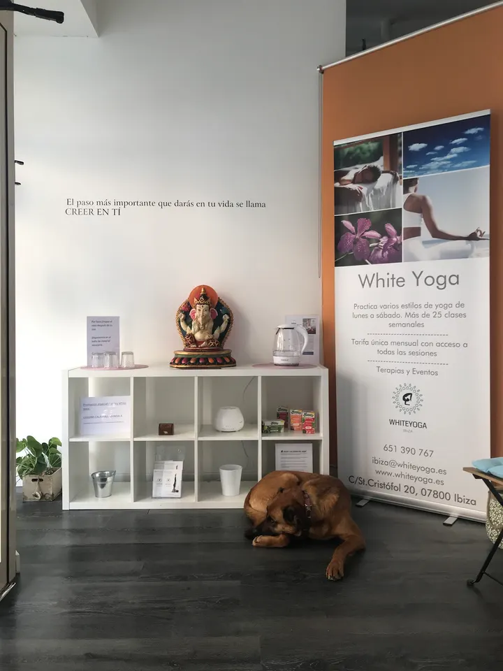 The White Lab Ibiza — yoga-studio en Ibiza — 4