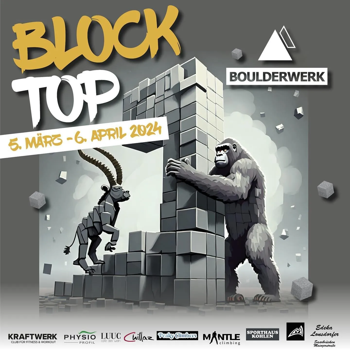 Boulderwerk — bouldering-studio i Saarbrücken — 3
