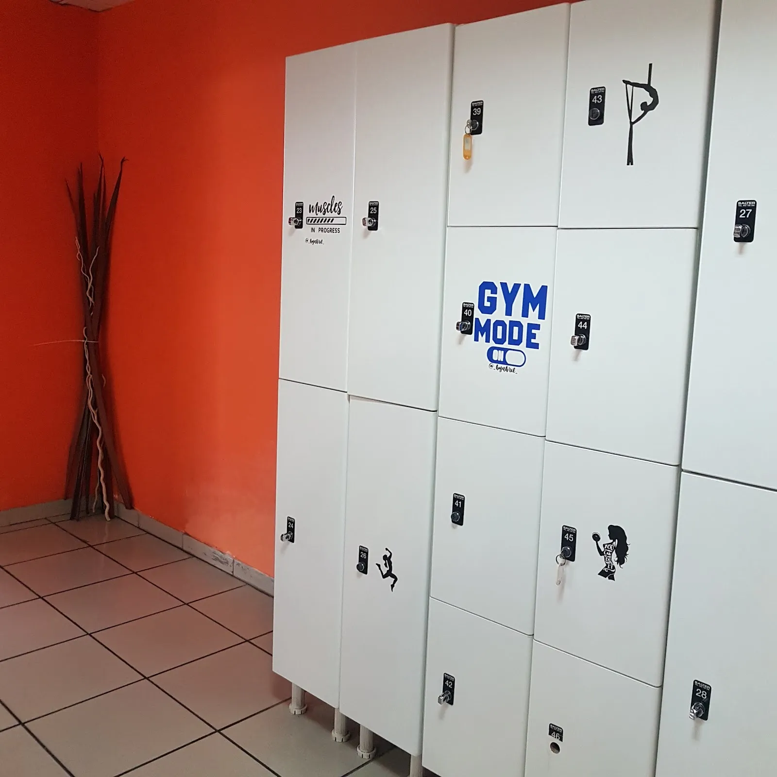 Ziro Gym Sport — estudio de fitness-studio en La Estación, La Estación — 3