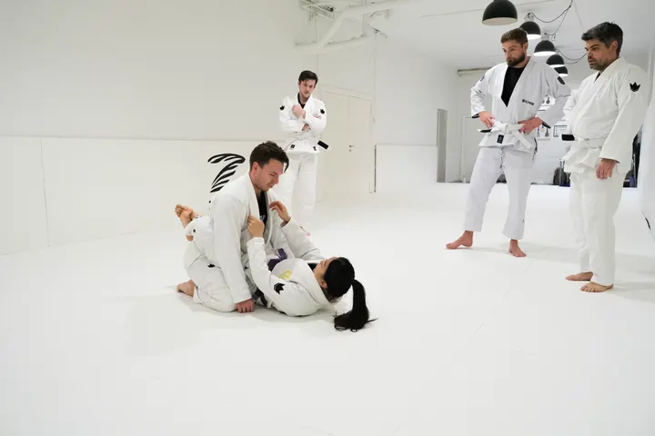 Hive Brazilian Jiu-Jitsu — kampsport-studio i København — 3
