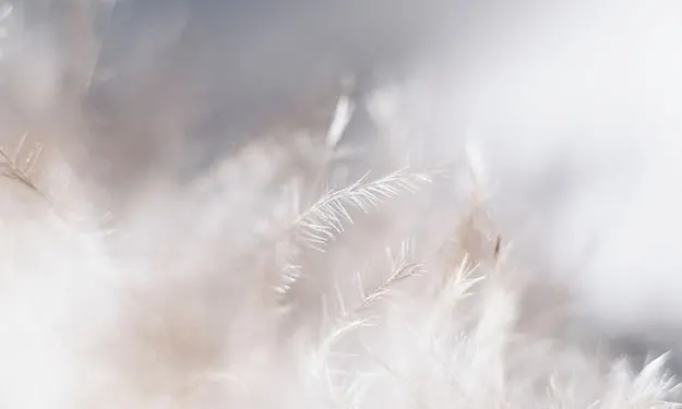 Prana Studio - Holistisk Terapeutisk Yoga — yoga-studio i Pindsle, Sandefjord — 2
