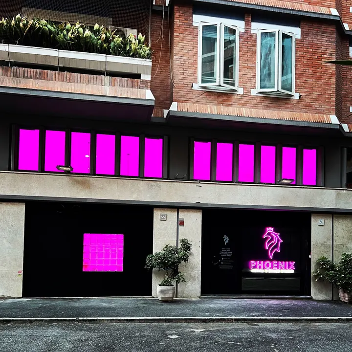 Phoenix Aerial & Dance Studio — pole dance-studio a Municipio Roma XIII, Roma — 3