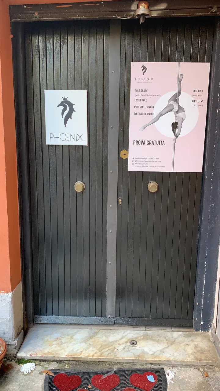 Phoenix Aerial & Dance Studio — pole dance-studio a Roma — 3