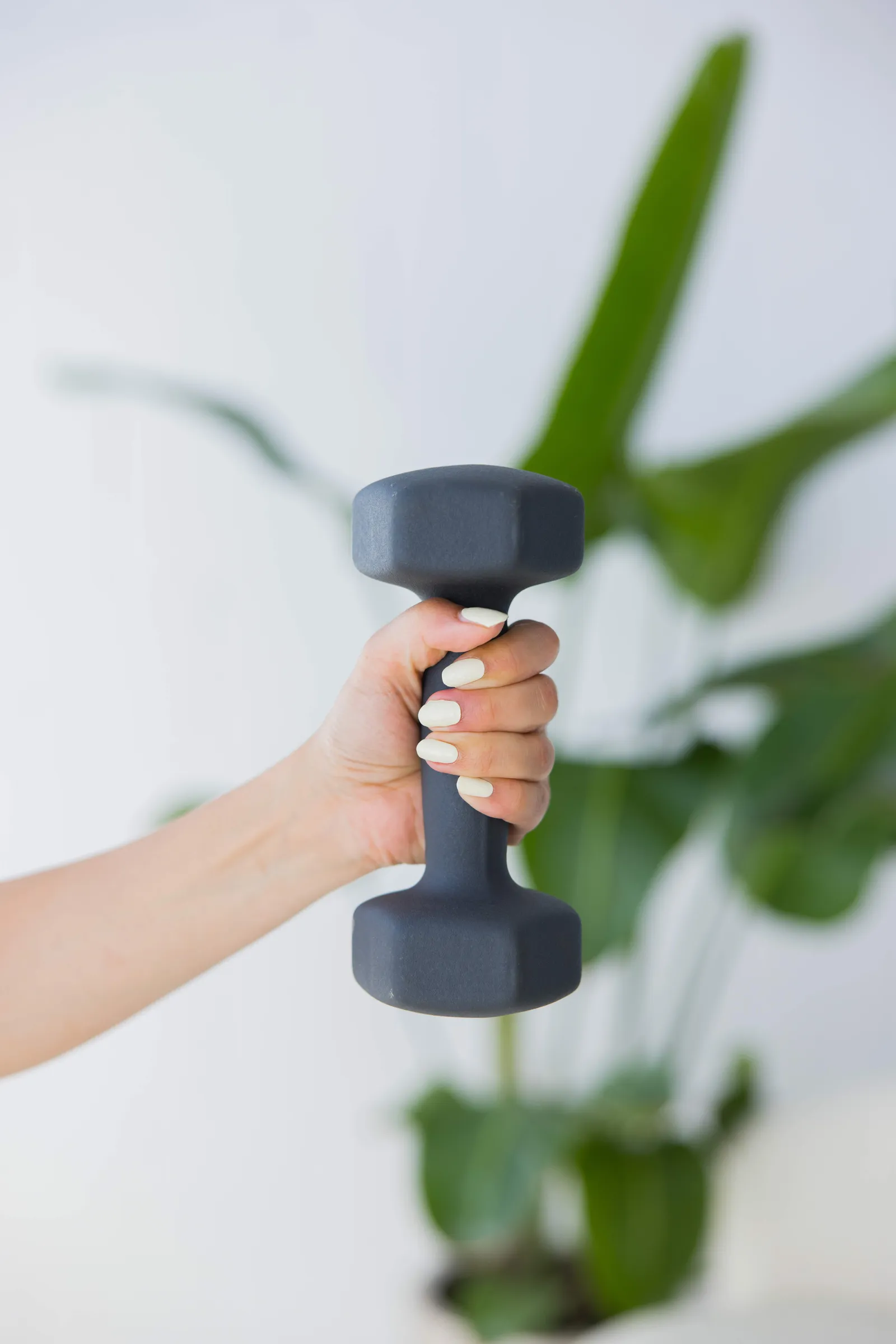 miofit — pilates-studio i Düsseldorf — 3