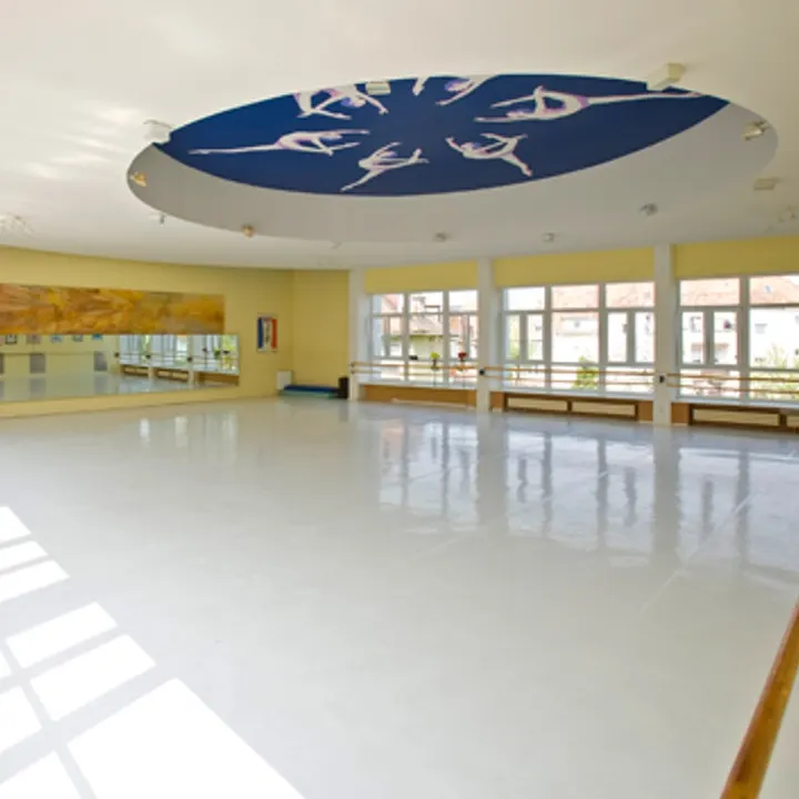 Ballettstudio Performance — tanz-studio in Kernstadt, Landau in der Pfalz — 2