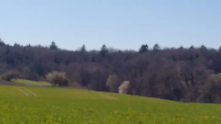 Bornholm Yoga og Retret Center v/Solveig Egebjerg Jensen — yoga-studio i Gudhjem — 3