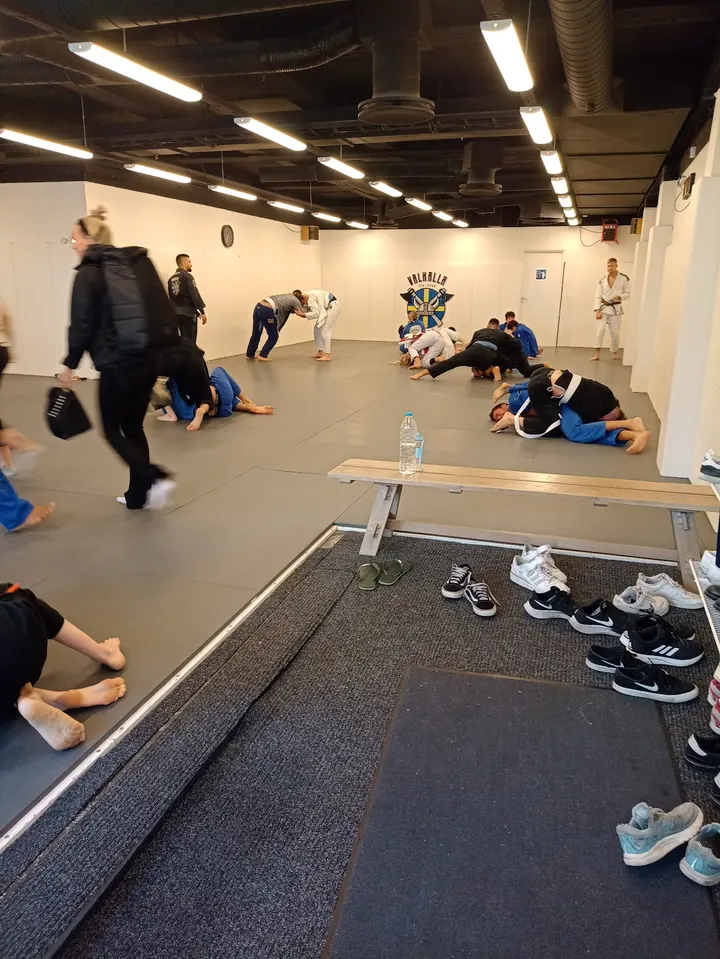 Valhalla Jiu Jitsu — bjj-studio i Majorna, Göteborg — 3