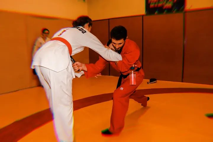 Myrmidons Taekwondo Club — arts martiaux-studio à Limoges — 5