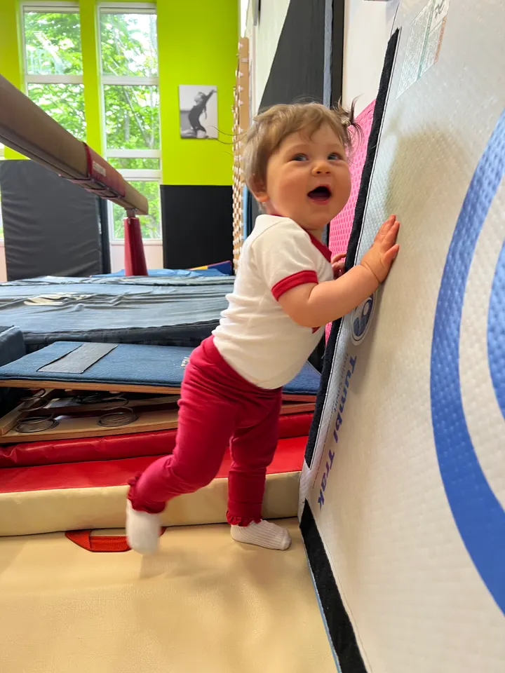 Airies Gymnastics Club — gymnastics-studio in Abbots Langley — 2