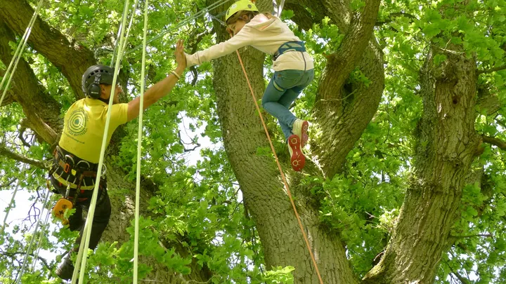 The Great Big Tree Climbing Co — climbing-studio in Sedgehill and Semley, Shaftesbury — 2