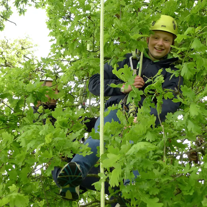The Great Big Tree Climbing Co — climbing-studio in Shaftesbury — 3