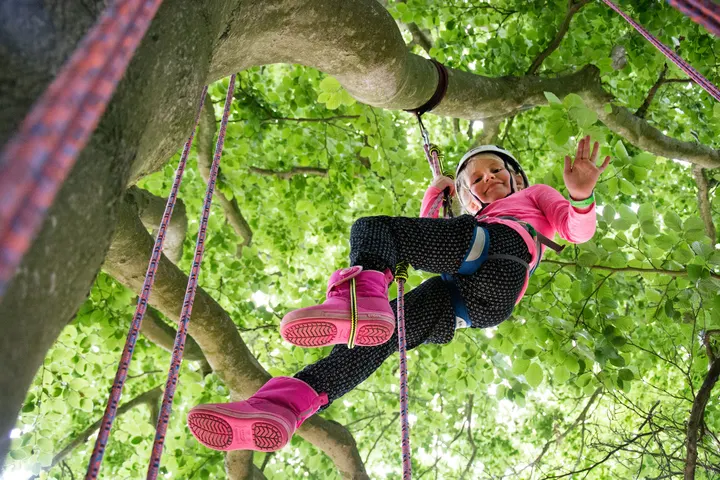 The Great Big Tree Climbing Co — Climbing in Sedgehill and Semley, Shaftesbury