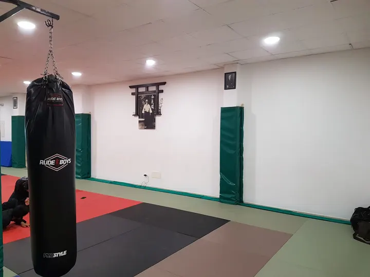 Dojo Tsugaku — artes marciales-studio en Palma — 5