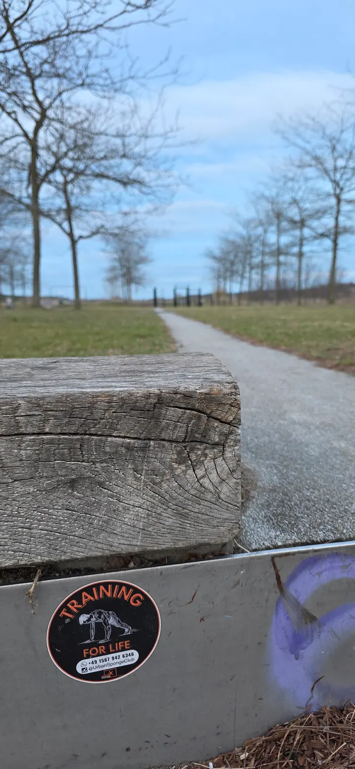 STOJAN TRAINING - Kladow Calisthenics Park — calisthenics-studio in Potsdam — 3