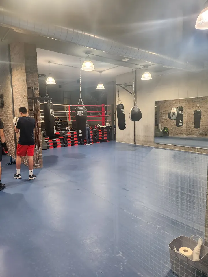 Altero Boxe Ssd — boxe-studio a Municipio Roma XIII, Roma — 3