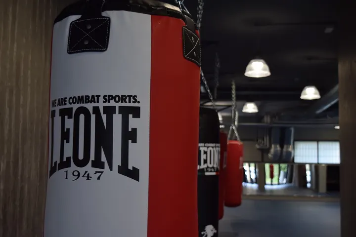 Altero Boxe Ssd — boxe-studio a Roma — 3
