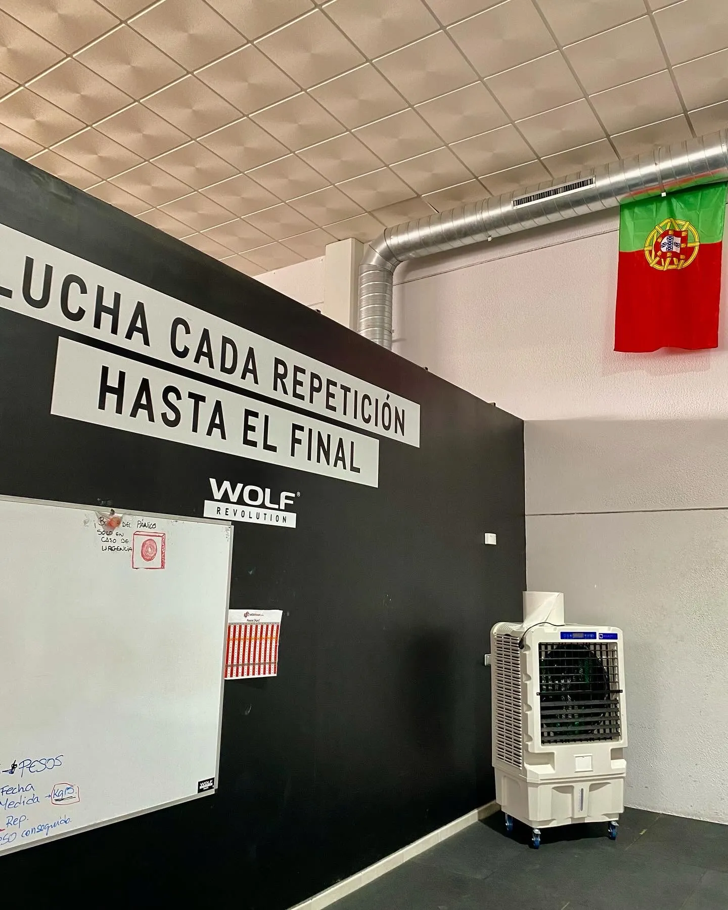 Wolf revolution — crossfit-studio en Badajoz — 4