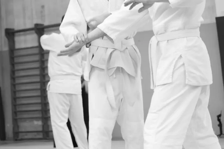 Aikido Shinsei Lissone — arti marziali-studio a Bareggia, Lissone — 2