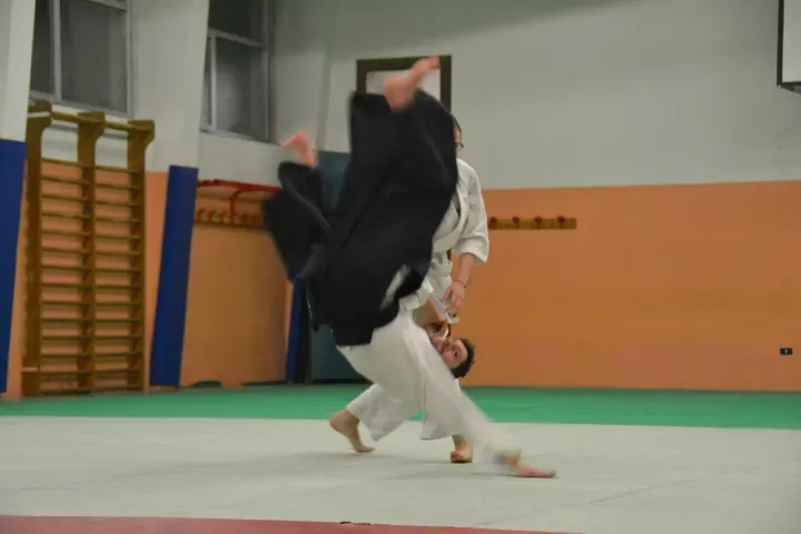 Aikido Shinsei Lissone — arti marziali-studio a Bareggia, Lissone — 3