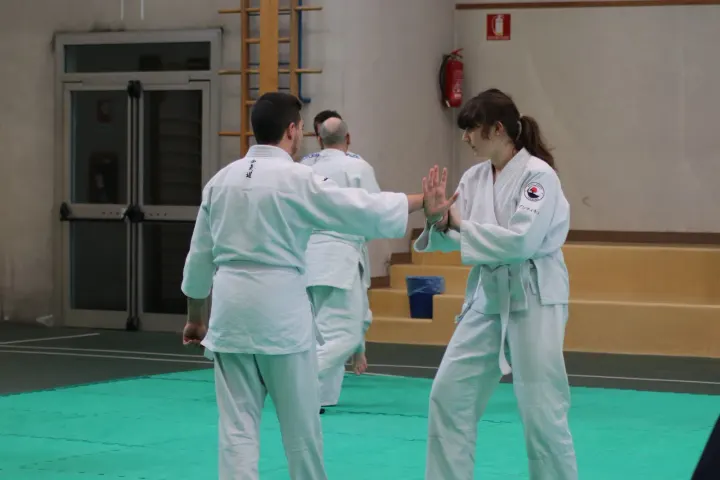 Aikido Shinsei Lissone — Arti marziali a Bareggia, Lissone