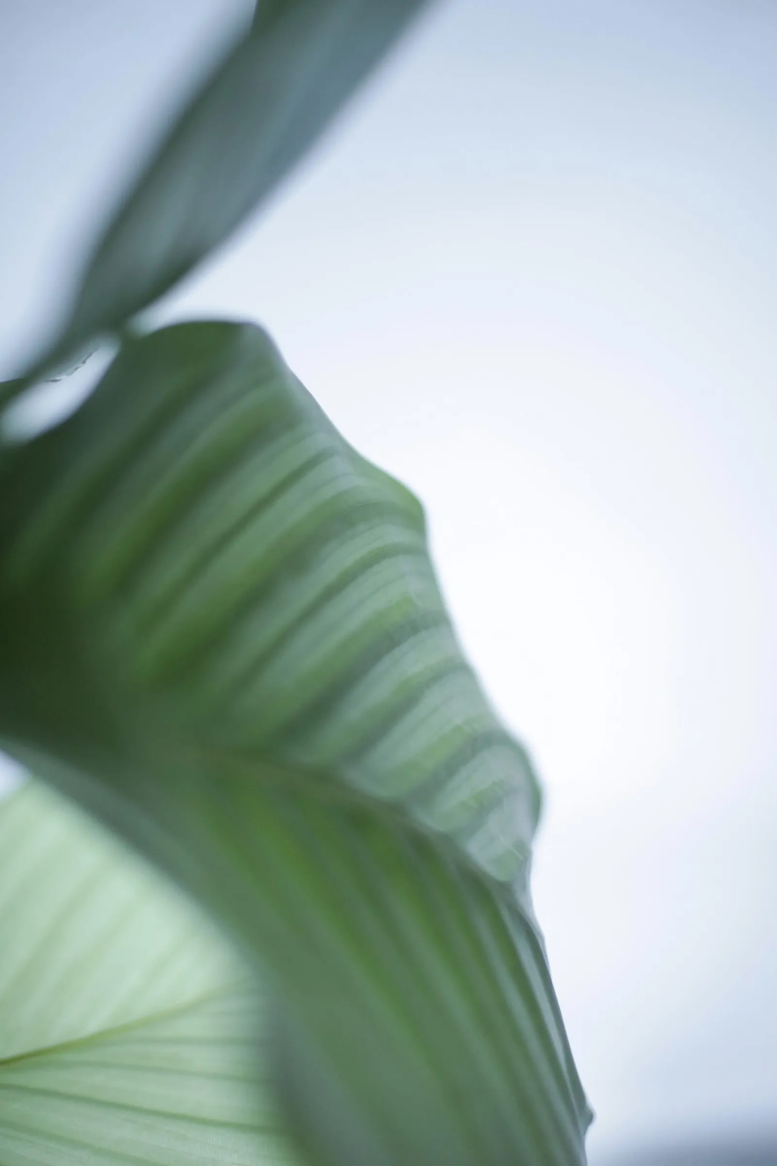 Mindful Mind Yoga — yoga-studio i Essen — 4