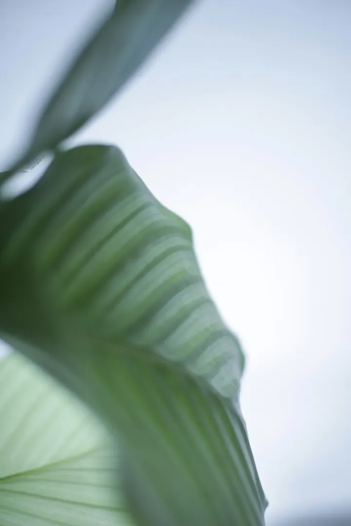Mindful Mind Yoga — yoga-studio in Essen — 4