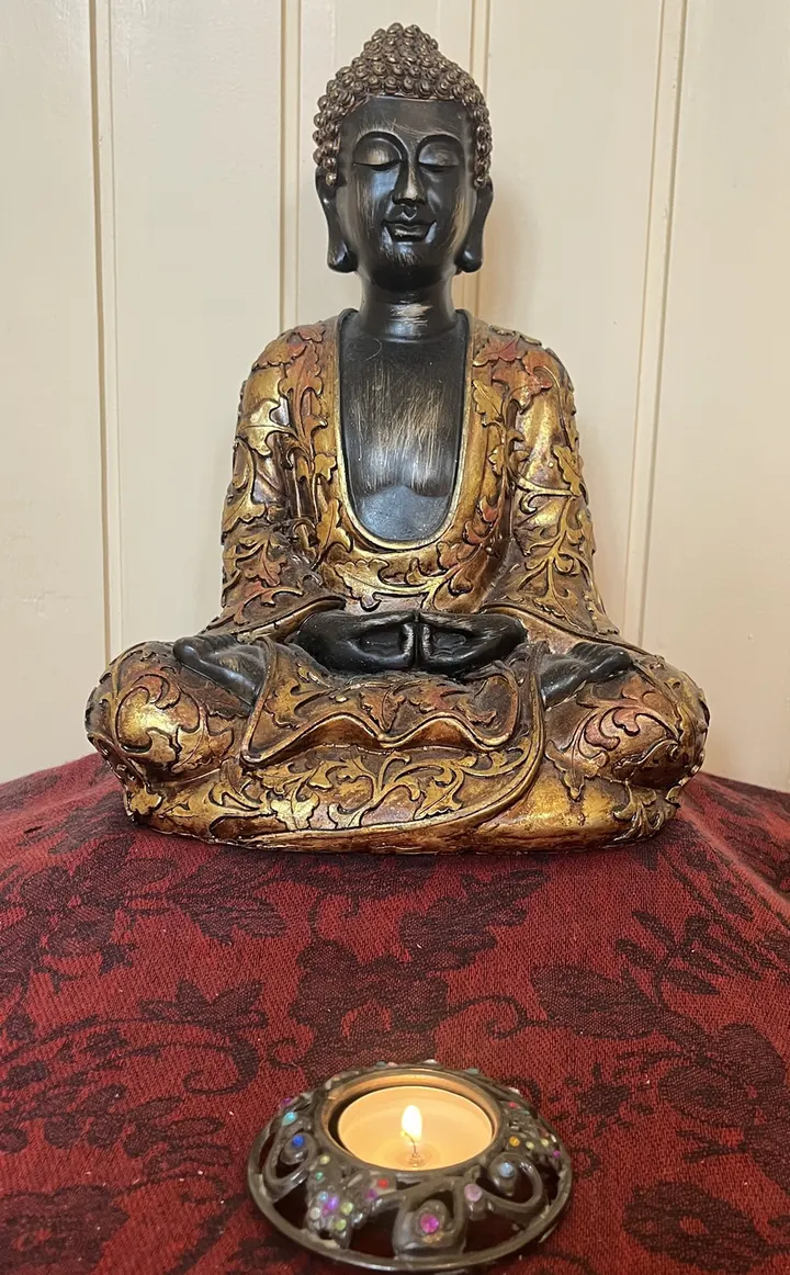 Vipassana Meditatie Haarlem — Meditatie in Delftwijk, Haarlem