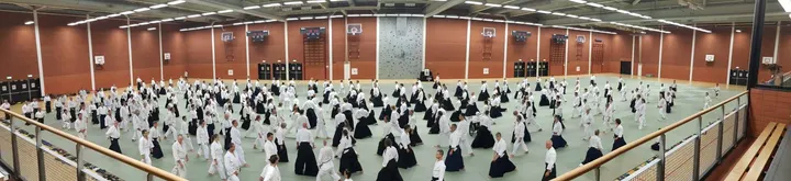 aikido ijsselmonde — vechtsport-studio in Rotterdam — 5