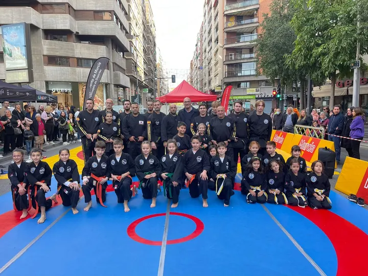 Club Artes Marciales Región de Murcia — artes marciales-studio en Murcia — 3