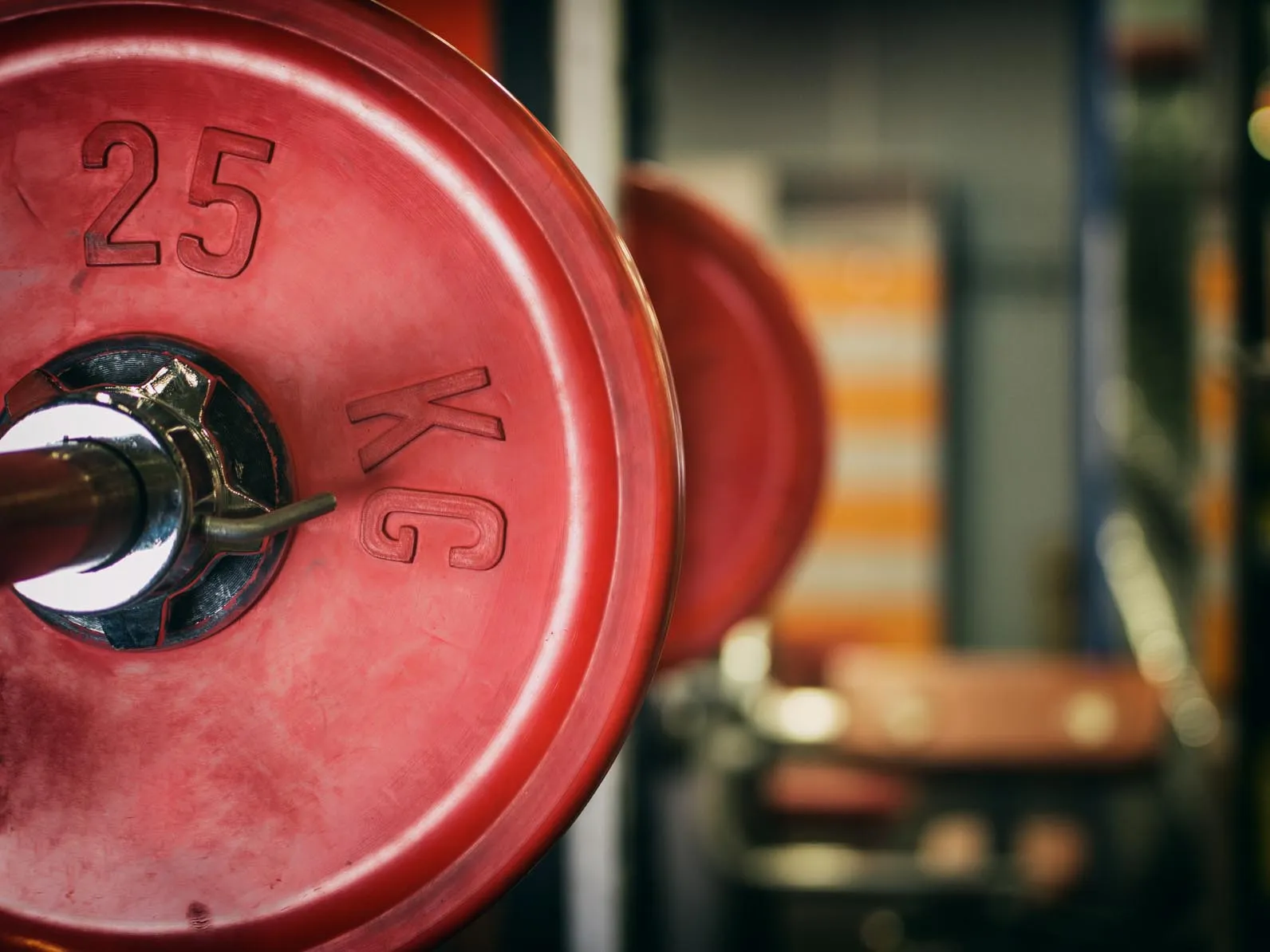 Powerlifting Physio in Düsseldorf — pt-studio in Düsseltal, Düsseldorf — 2