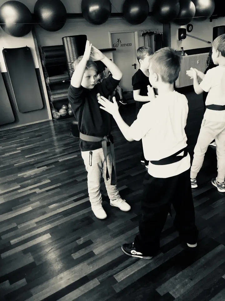 Meisterhand — kampfsport-studio in Georgsmarienhütte-Oesede — 5