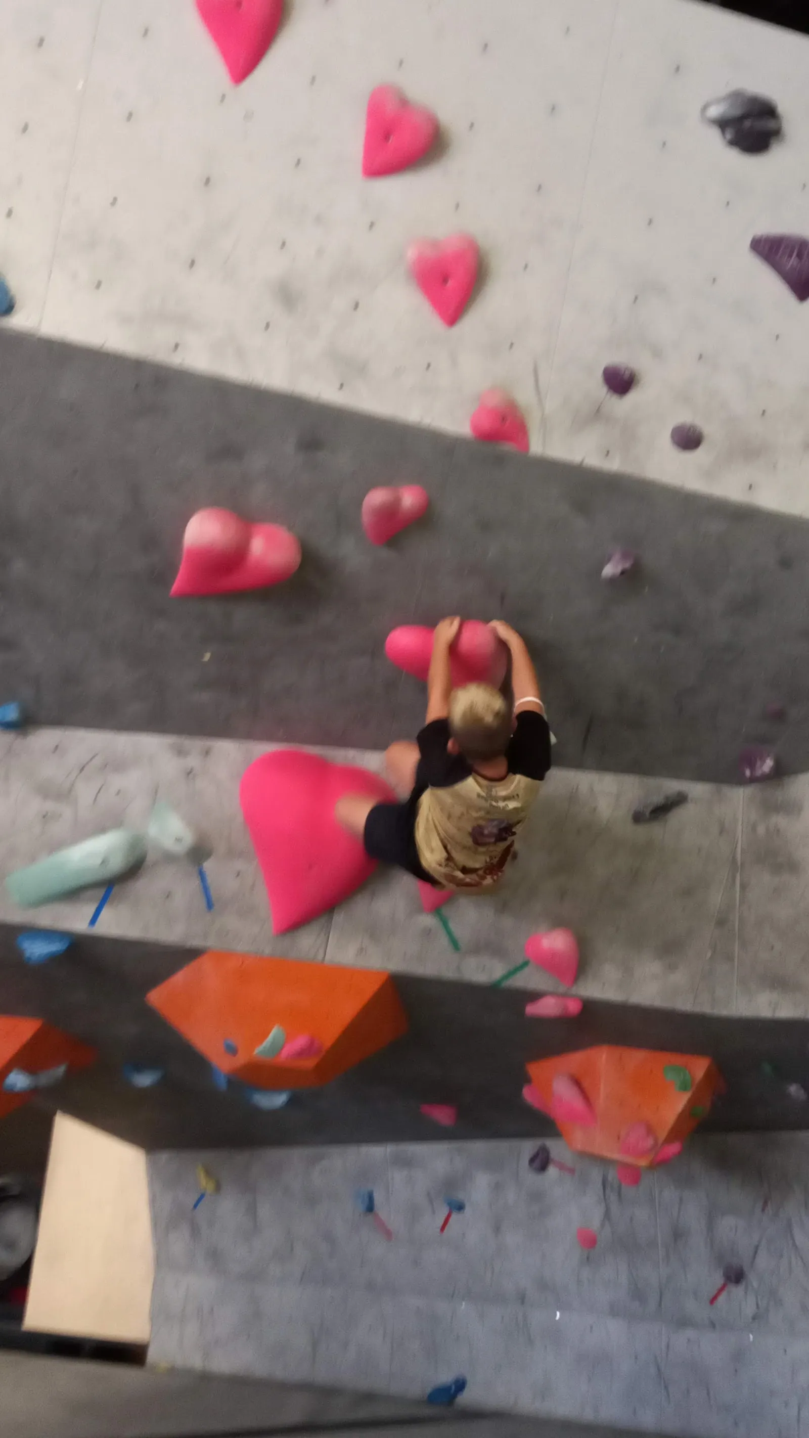 La Bloquera Espai D'escalada — escalada-studio en Olot — 3