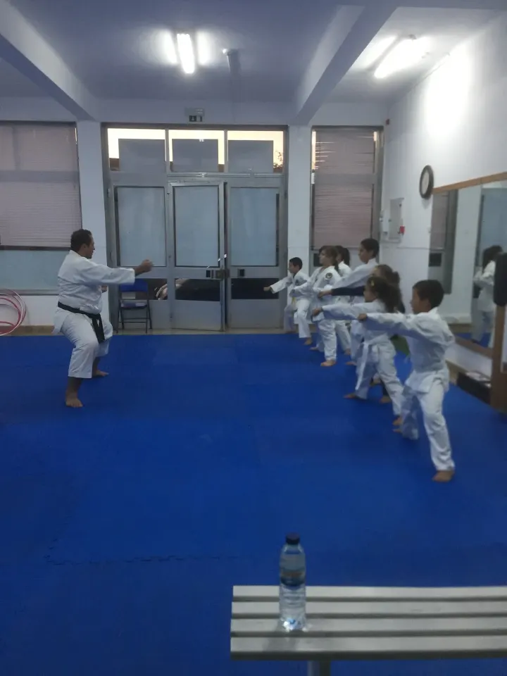 Bushikai — Artes marciais em Marvila, Santarém