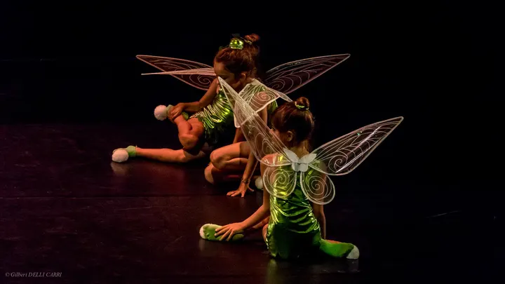 Ecole de danse Danse Harmonie — danse-studio à Val Saint-André, Aix-en-Provence — 2