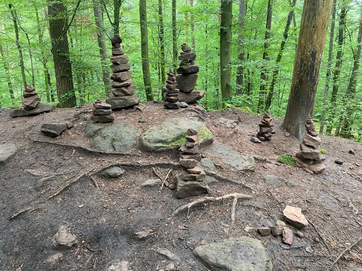 ZEN-Kreis Pfälzerwald — meditation-studio in Höhfröschen — 3
