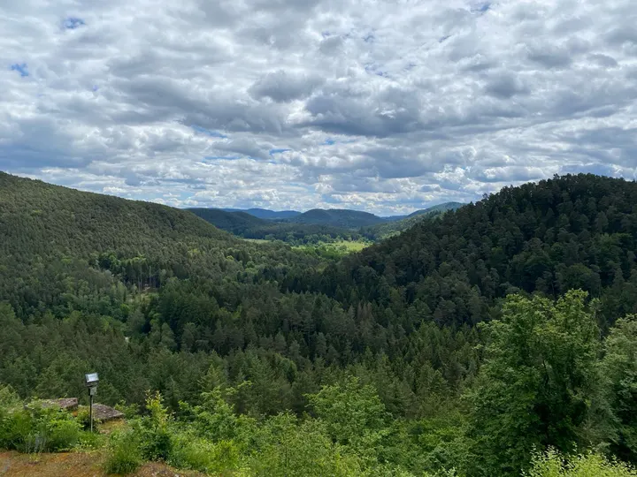 ZEN-Kreis Pfälzerwald — meditation-studio in Höhfröschen — 4