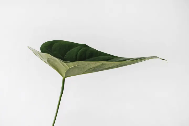 All Silence — meditatie-studio in Amsterdam — 3